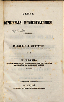 Brühl_Dissertation_Titelblatt